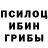 Галлюциногенные грибы MAGIC MUSHROOMS SPINNonline