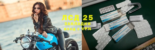 прущие грибы Белокуриха