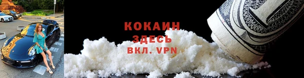 прущие грибы Белокуриха