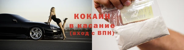 прущие грибы Белокуриха