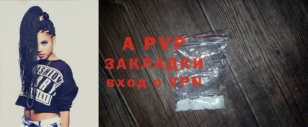 прущие грибы Белокуриха